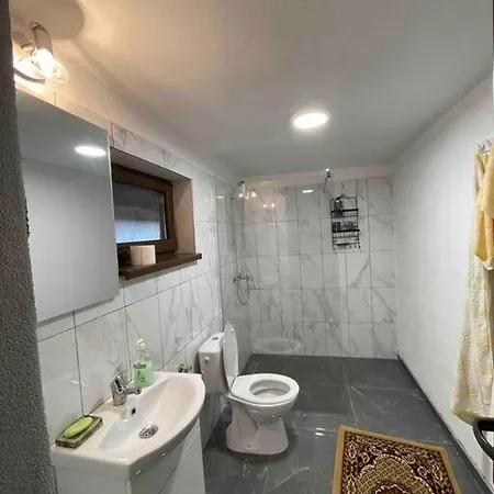 Holiday home In Izbuc, Bihor - Casa Moma Carpinet