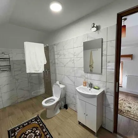 Holiday home In Izbuc, Bihor - Casa Moma Carpinet